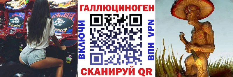 Галлюциногенные грибы Psilocybe  kraken как войти  Солигалич 